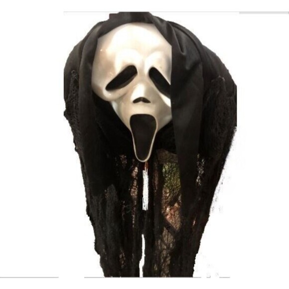 SCREAM Ghost Face Mask Door or Wall Hanger - Picture 1 of 5